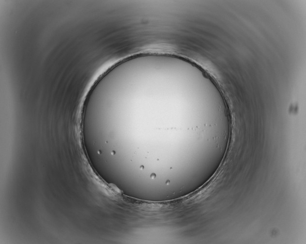 X0000097981248200804071116