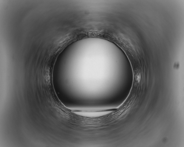 X0000097981252200804071115