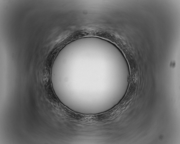 X0000097981253200804071115
