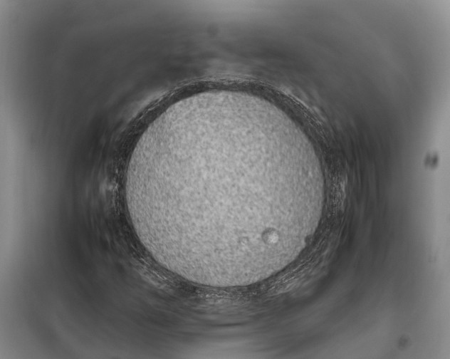 X0000097981254200804071115