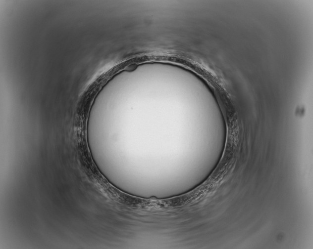 X0000097981255200804071115