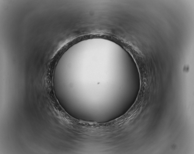 X0000097981256200804071115