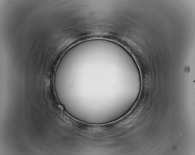 X0000097981257200804071115