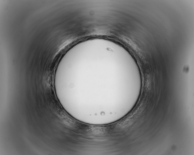 X0000097981258200804071115