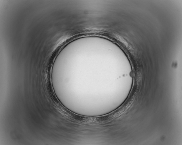 X0000097981259200804071115