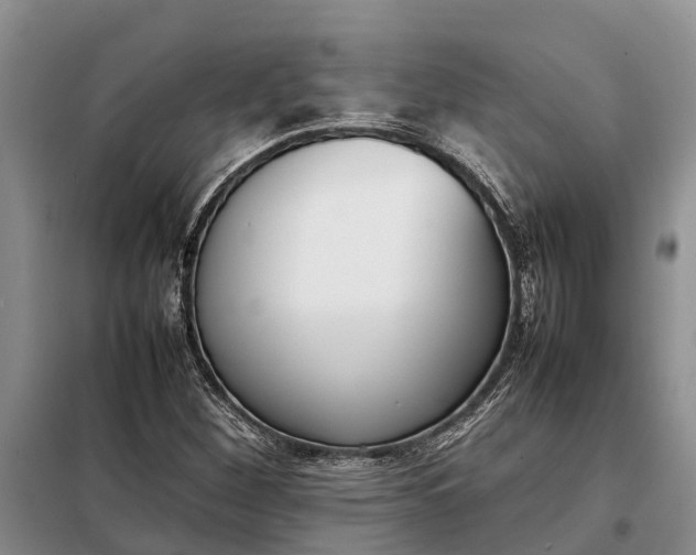 X0000097981260200804071115