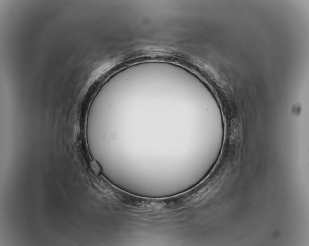 X0000097981261200804071115