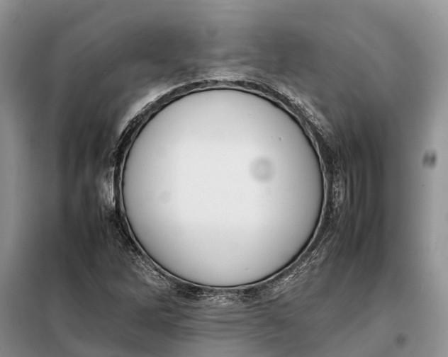 X0000097981262200804071115