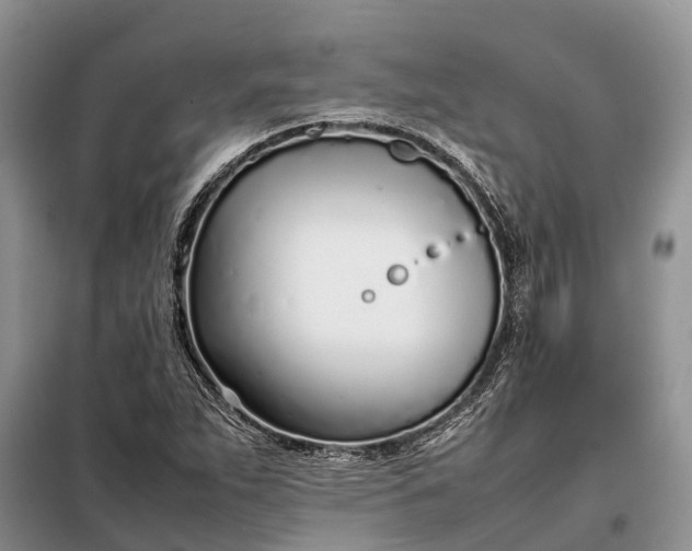 X0000097981263200804071115