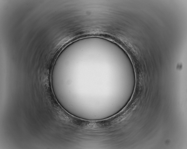 X0000097981265200804071115