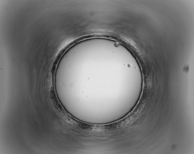 X0000097981267200804071115