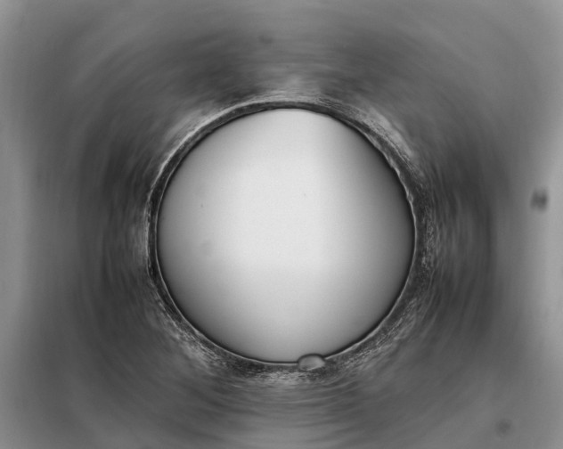 X0000097981268200804071115