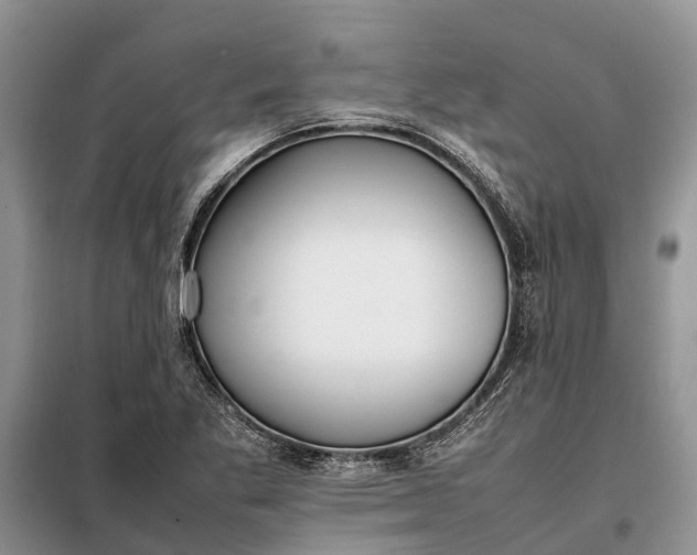 X0000097981269200804071115