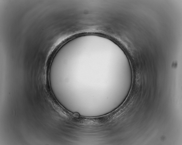 X0000097981270200804071115