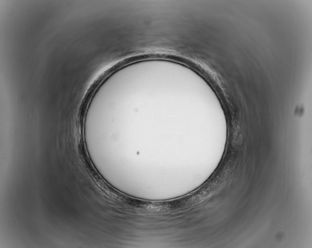 X0000097981271200804071115