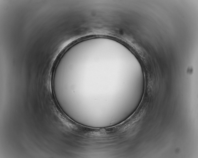 X0000097981272200804071115