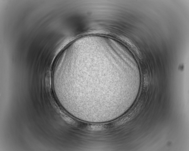 X0000097981274200804071115