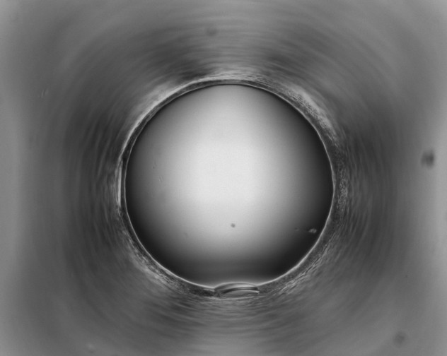 X0000097981276200804071115