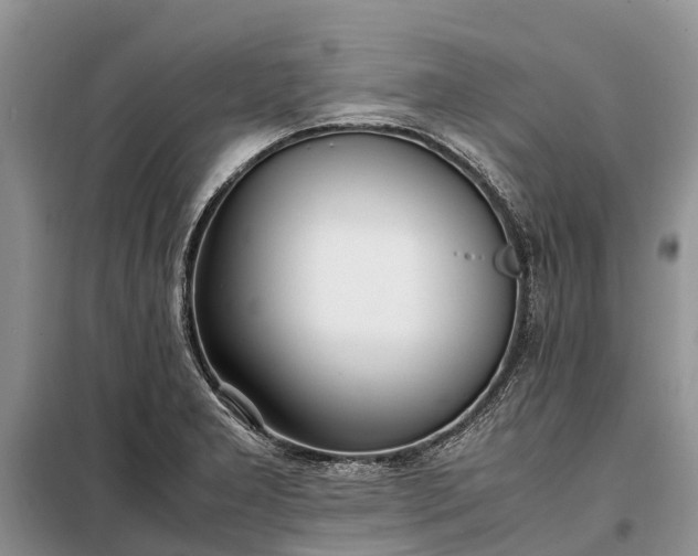X0000097981277200804071115
