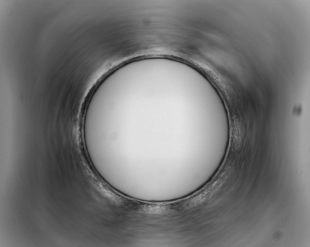 X0000097981278200804071115