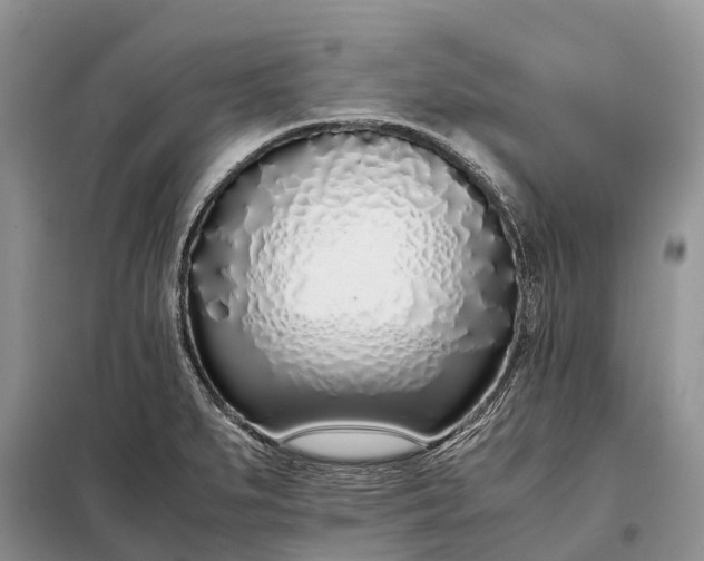 X0000097981279200804071115