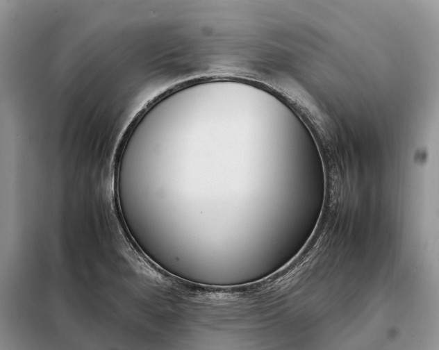 X0000097981280200804071115