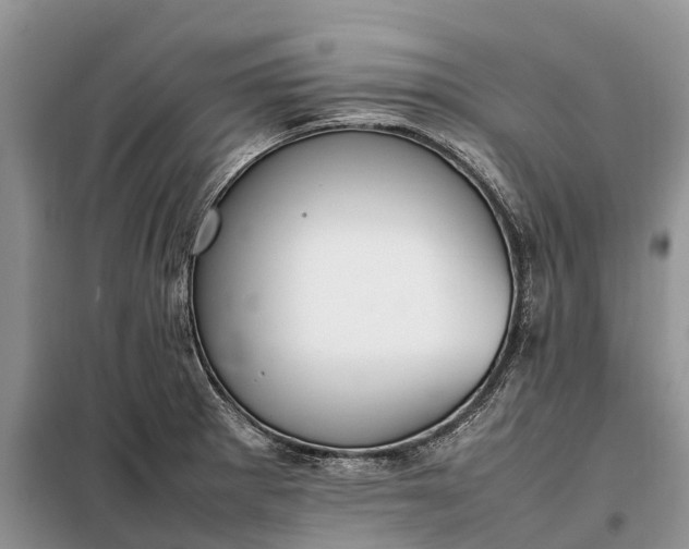 X0000097981281200804071115
