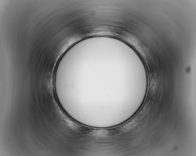 X0000097981282200804071115