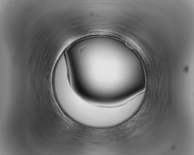 X0000097981283200804071115