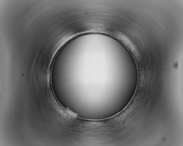 X0000097981284200804071115