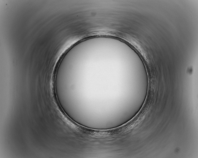 X0000097981285200804071115