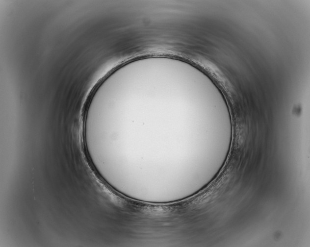X0000097981286200804071115