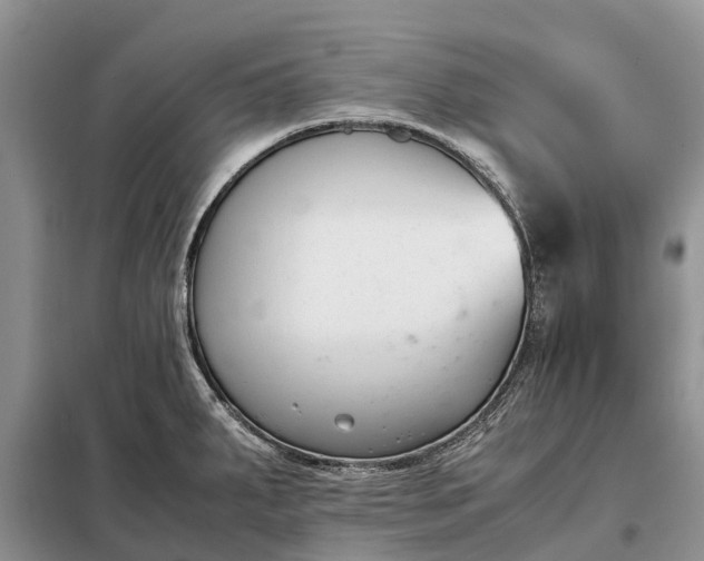 X0000097981287200804071115