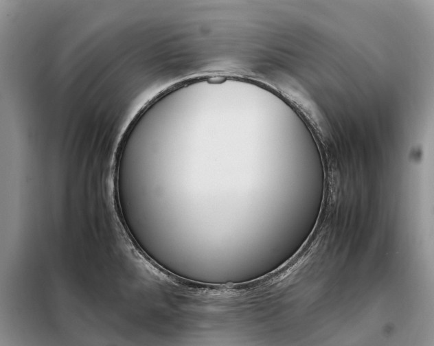 X0000097981288200804071115