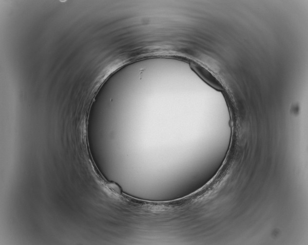 X0000097981289200804071115