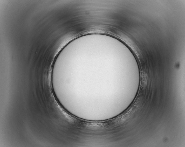 X0000097981290200804071115