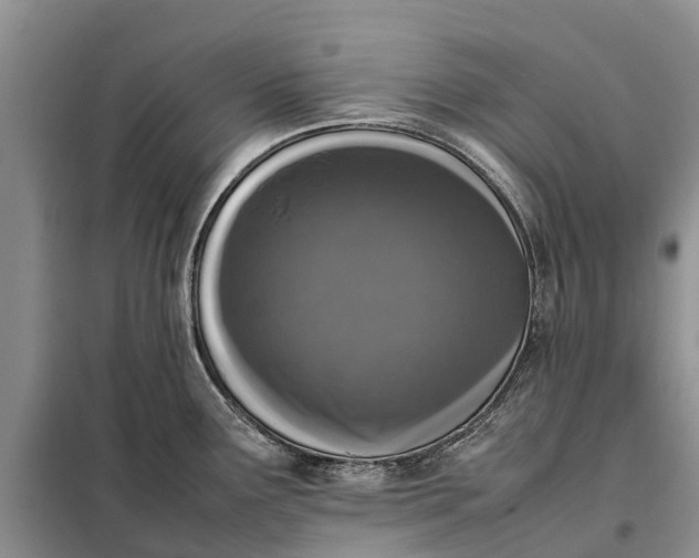 X0000097981291200804071115