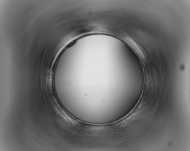 X0000097981292200804071115