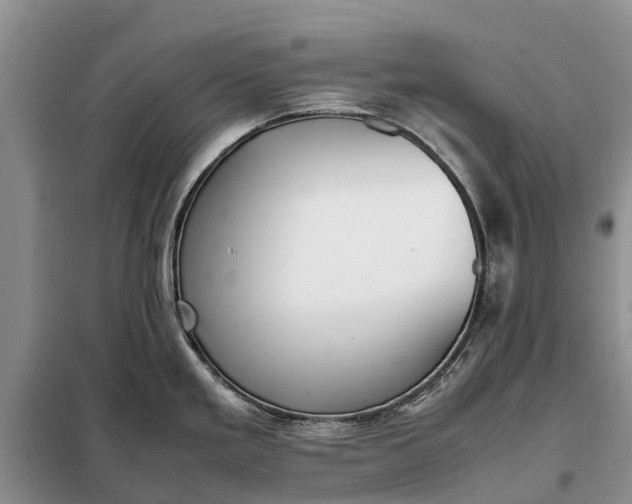 X0000097981293200804071115