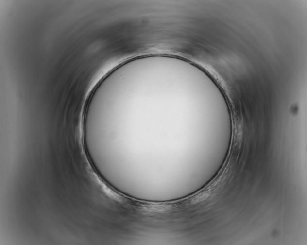 X0000097981294200804071115