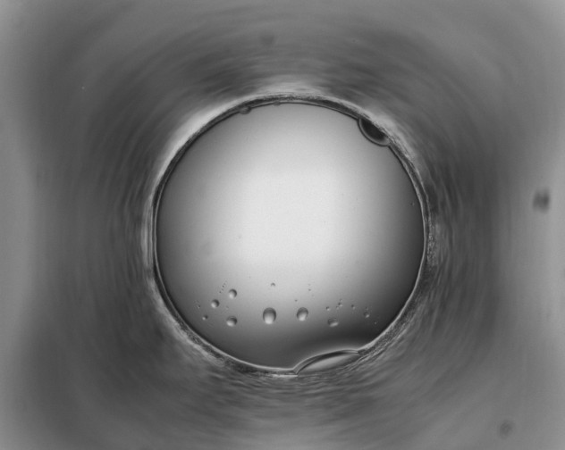 X0000097981295200804071115