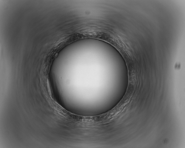 X0000097981297200804071114