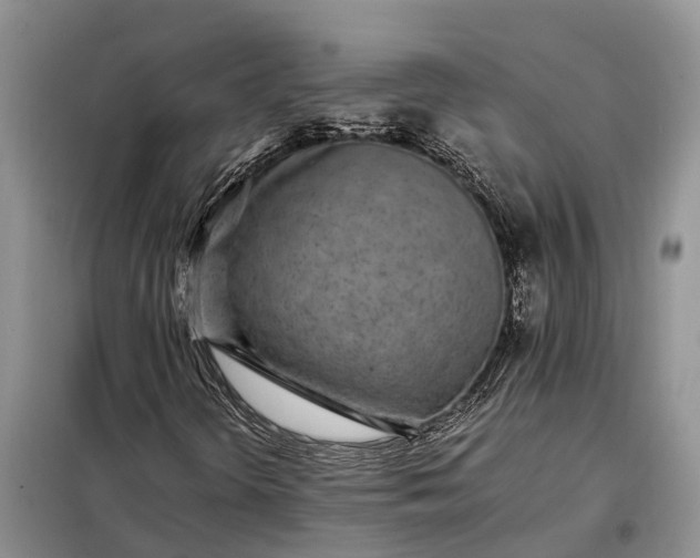 X0000097981298200804071114