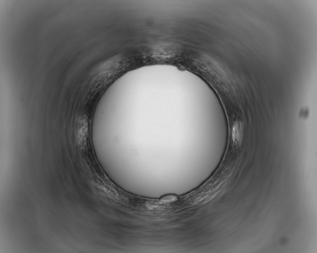 X0000097981299200804071114