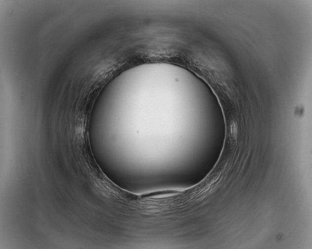 X0000097981300200804071114