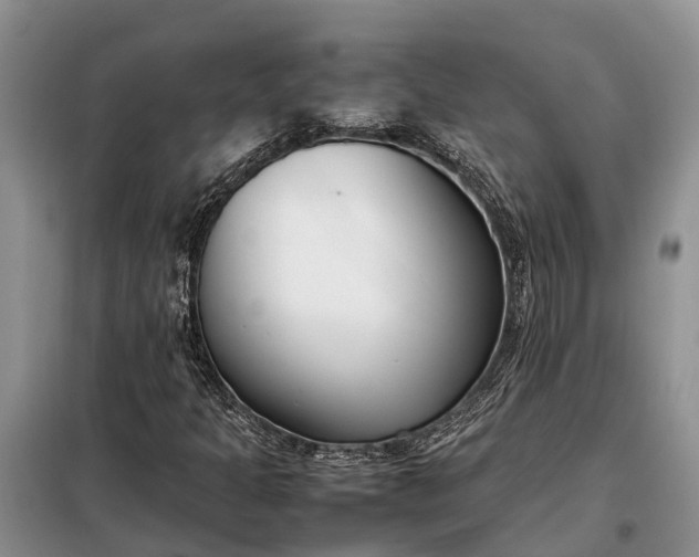 X0000097981301200804071114
