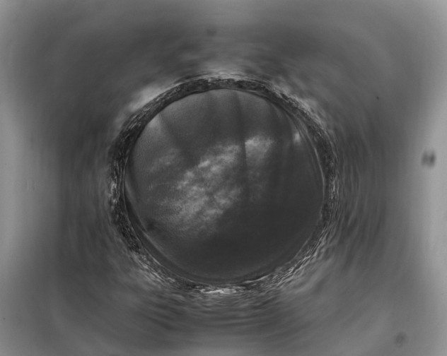 X0000097981303200804071114