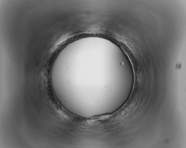 X0000097981304200804071114