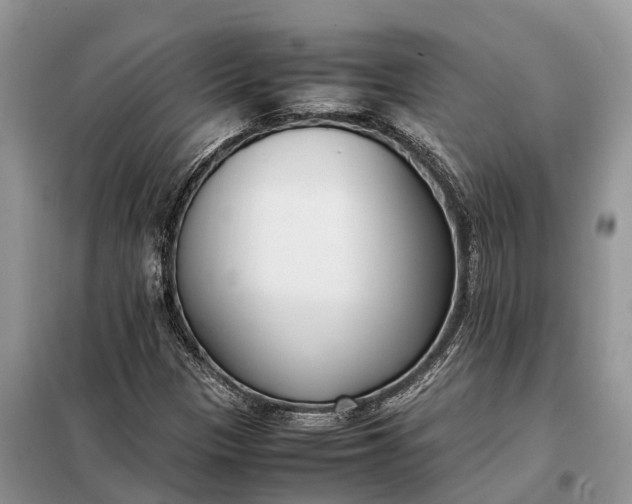 X0000097981305200804071114