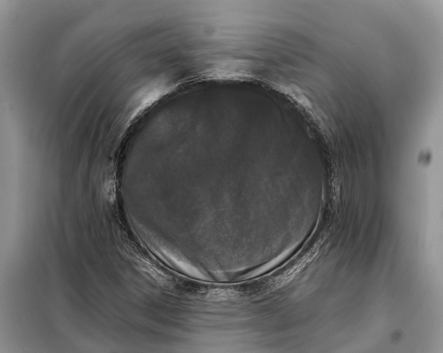 X0000097981306200804071114